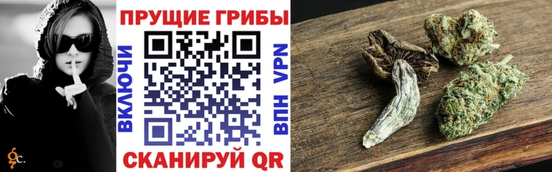 Псилоцибиновые грибы мицелий  Славск 